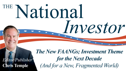 New FAANGs Newsletter Image